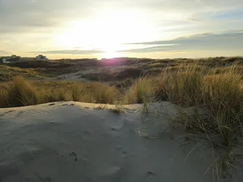 Oostnieuwkerke duinen wandeling in de koude (België)